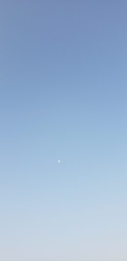 出现在白天的月亮?