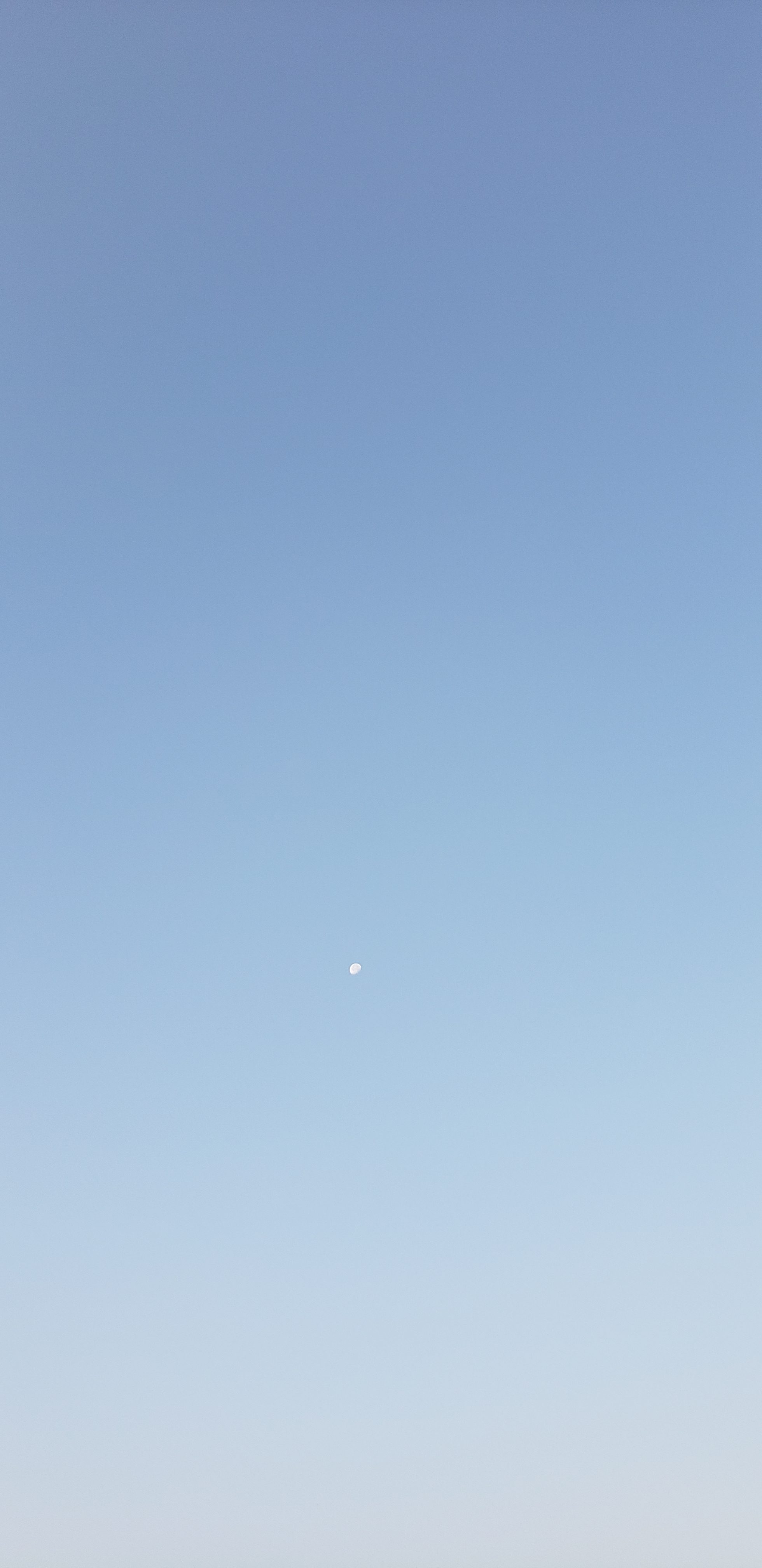 出现在白天的月亮?