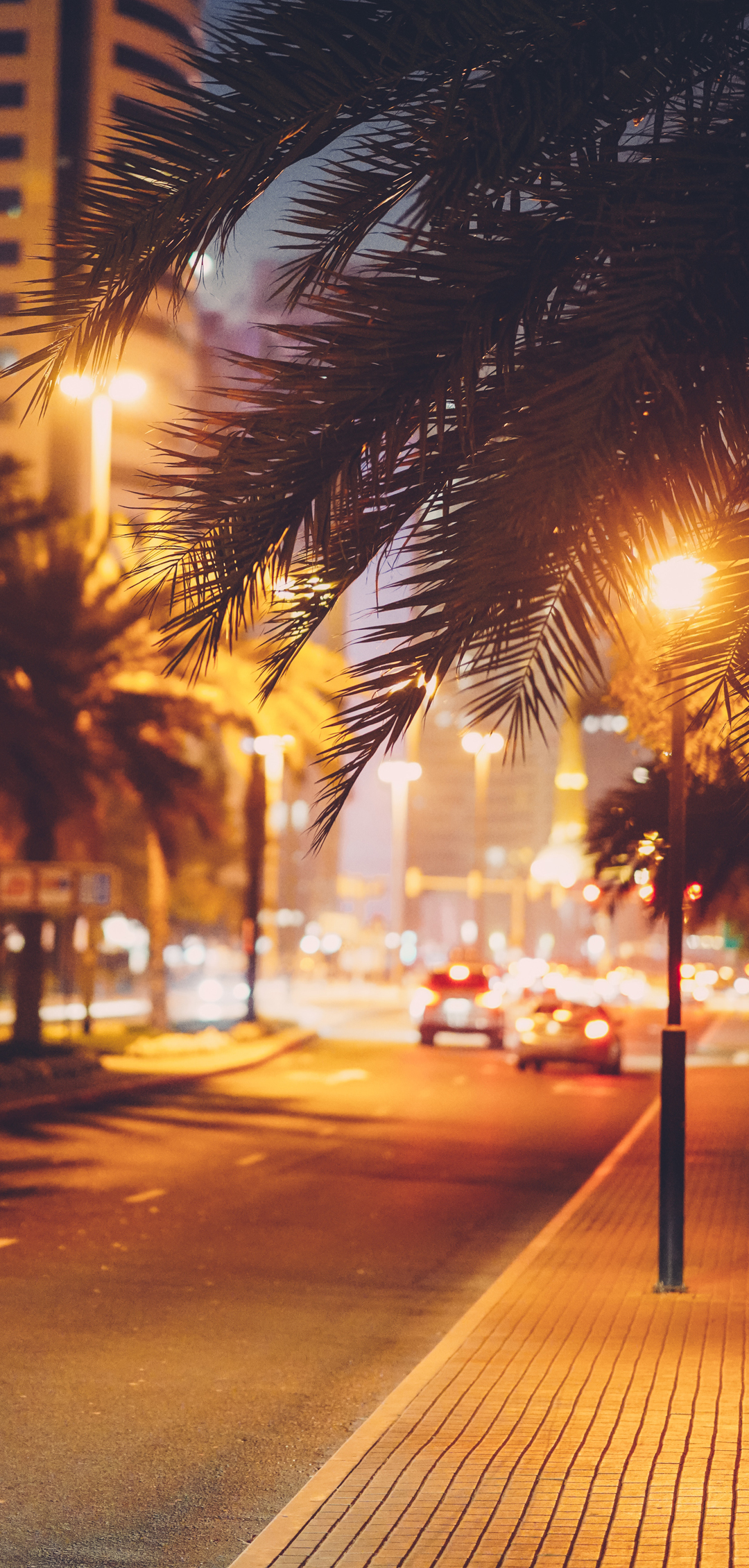 他乡的灯光，始终不暖。