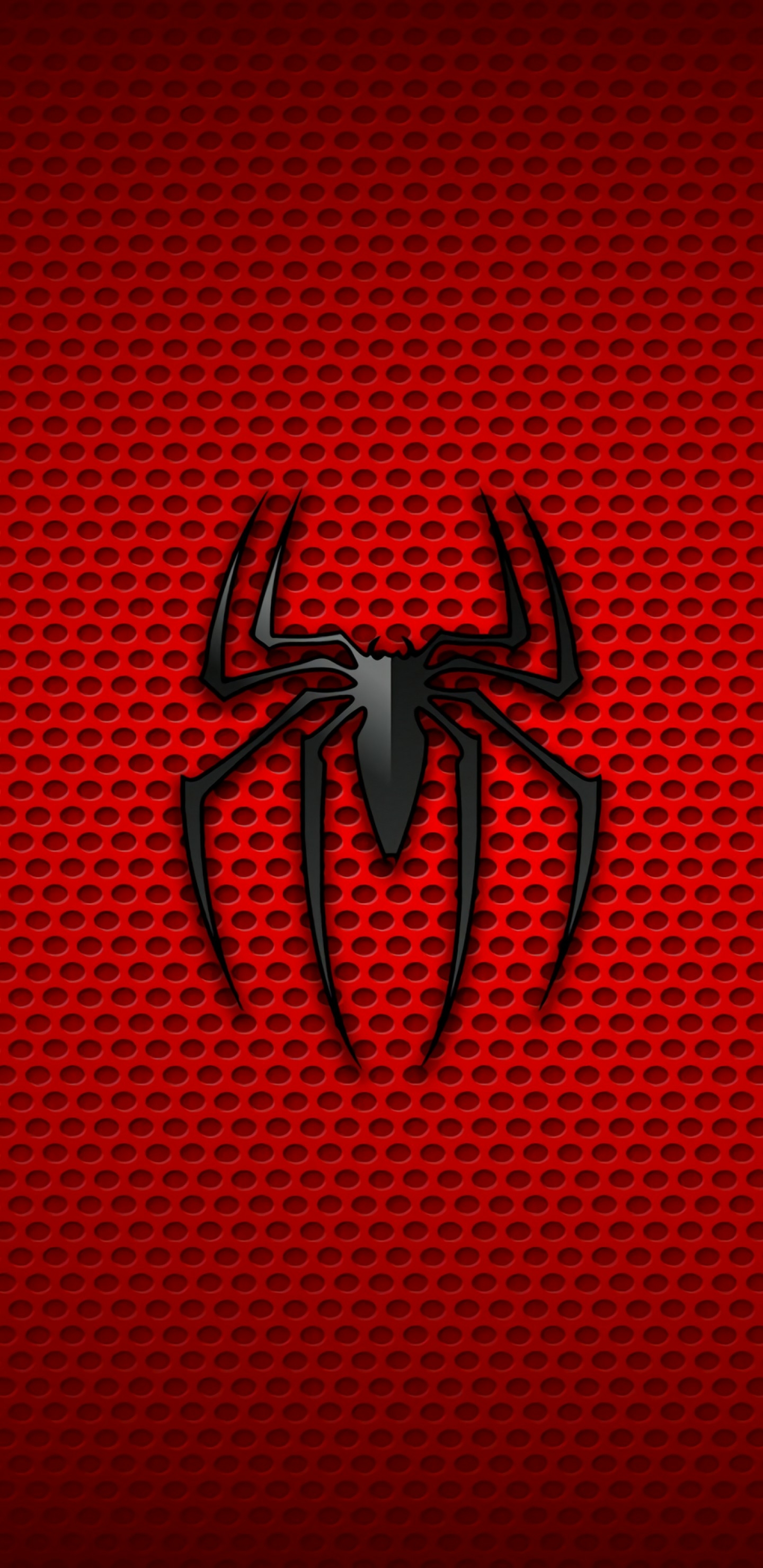 蜘蛛-2960×1440壁纸