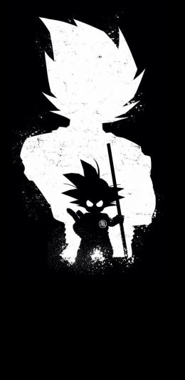 卡卡罗特-孙悟空