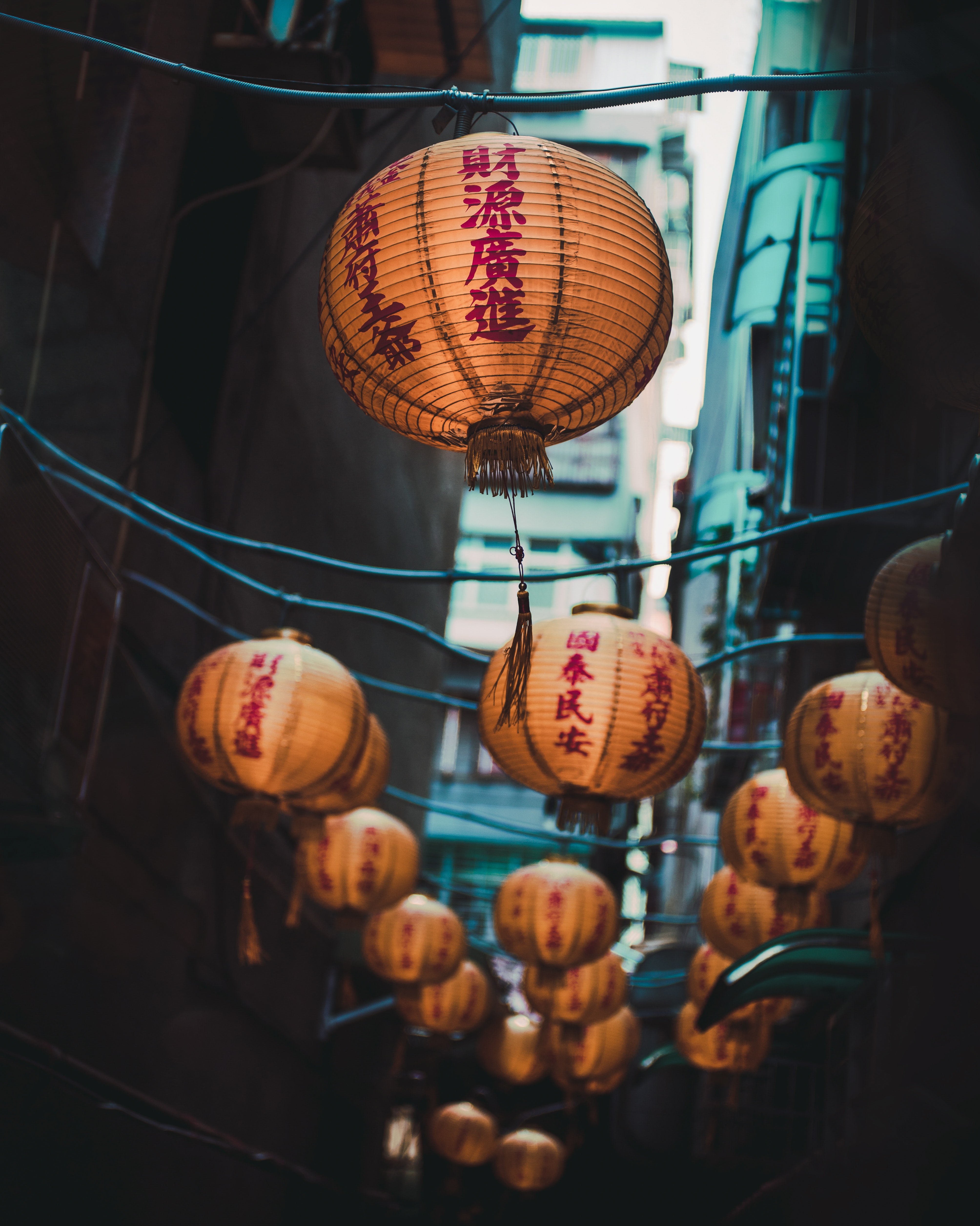 城市