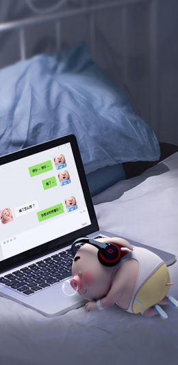可爱的小猪壁纸