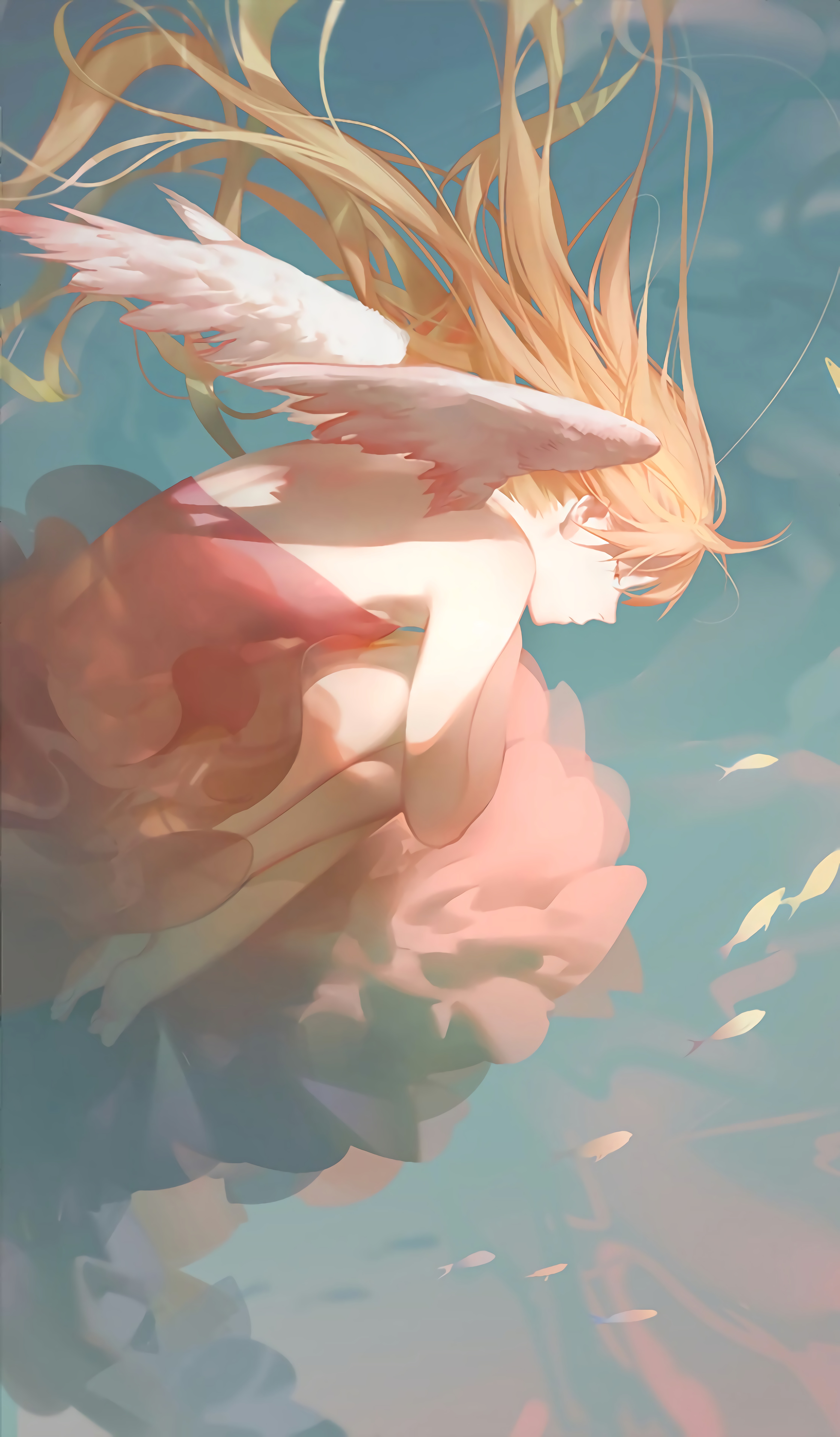 鱼与天使