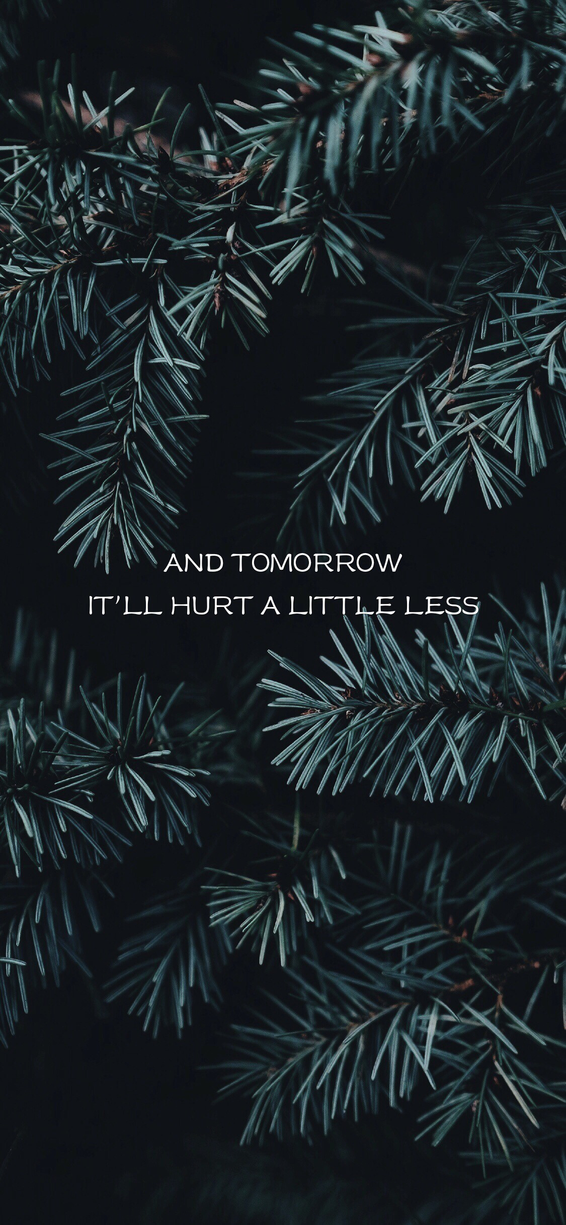 2436×1125苹果手机壁纸