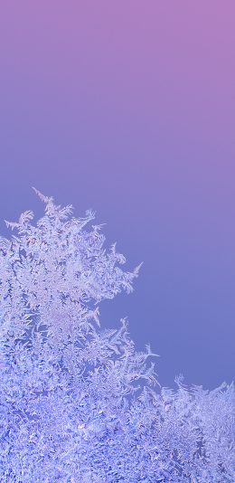 2340x1080小米miui11内置壁纸（12）