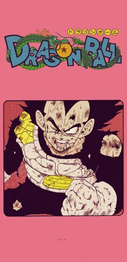 七龙珠动漫壁纸