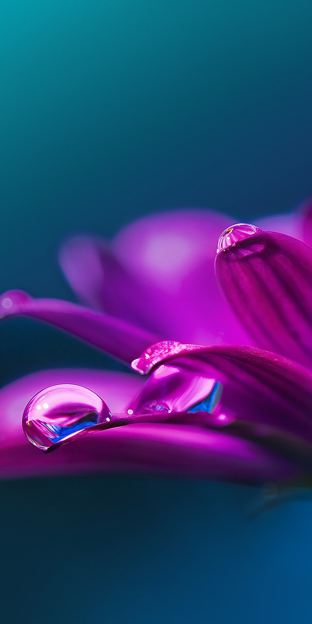 LG Stylo 5手机自带壁纸（7）