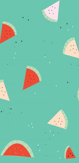 2960x1440手机壁纸|西瓜小清新壁纸