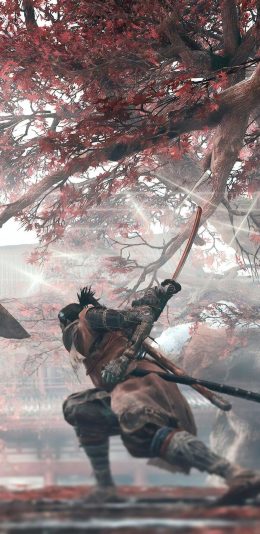 游戏