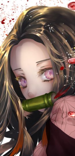 鬼灭之刃祢豆子