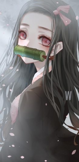 鬼灭之刃祢豆子