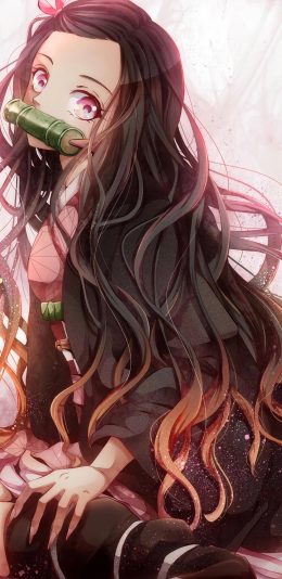 鬼灭之刃祢豆子