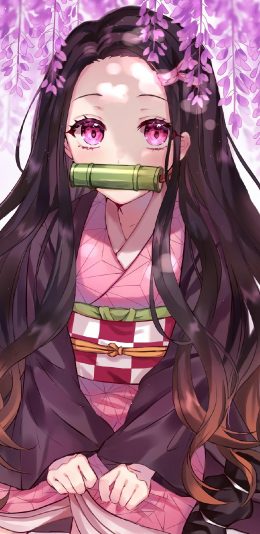 鬼灭之刃祢豆子