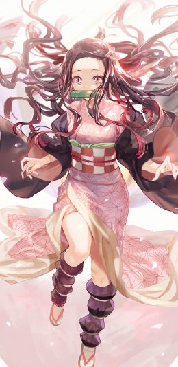 鬼灭之刃祢豆子