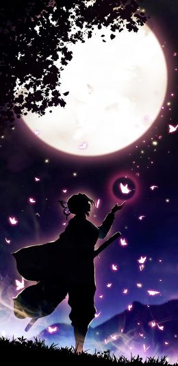 鬼灭之刃蝴蝶忍