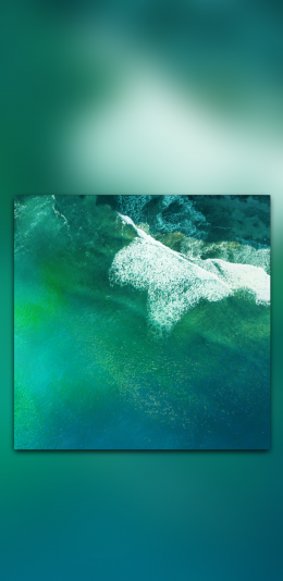 静态
