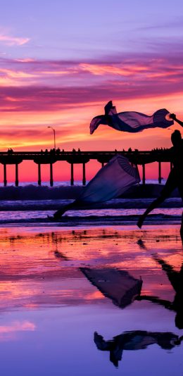 夕阳下，我想吃撒尿牛丸…