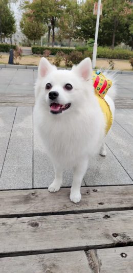 艾咪