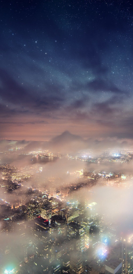 夜