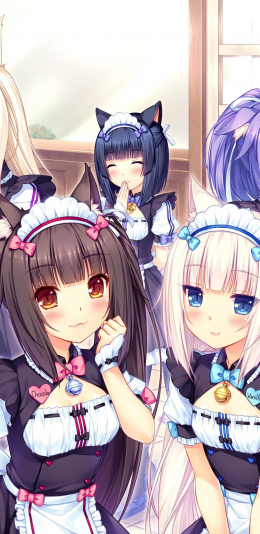 巧克力与香草兰4k