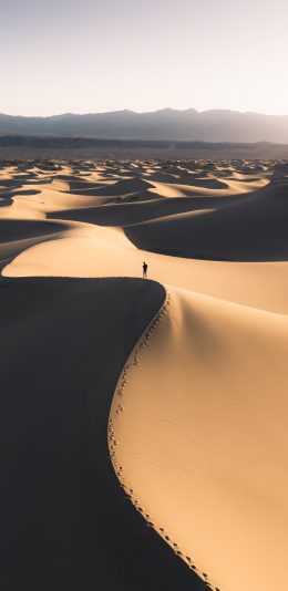 沙漠