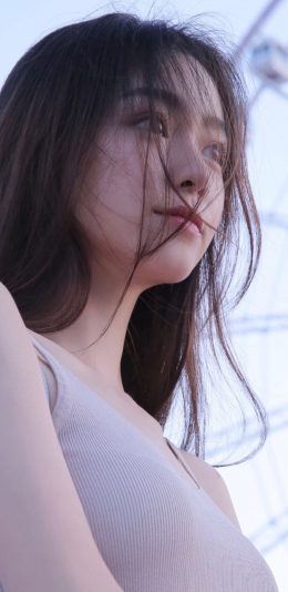 壁纸