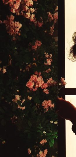 就。就拍的我朋友