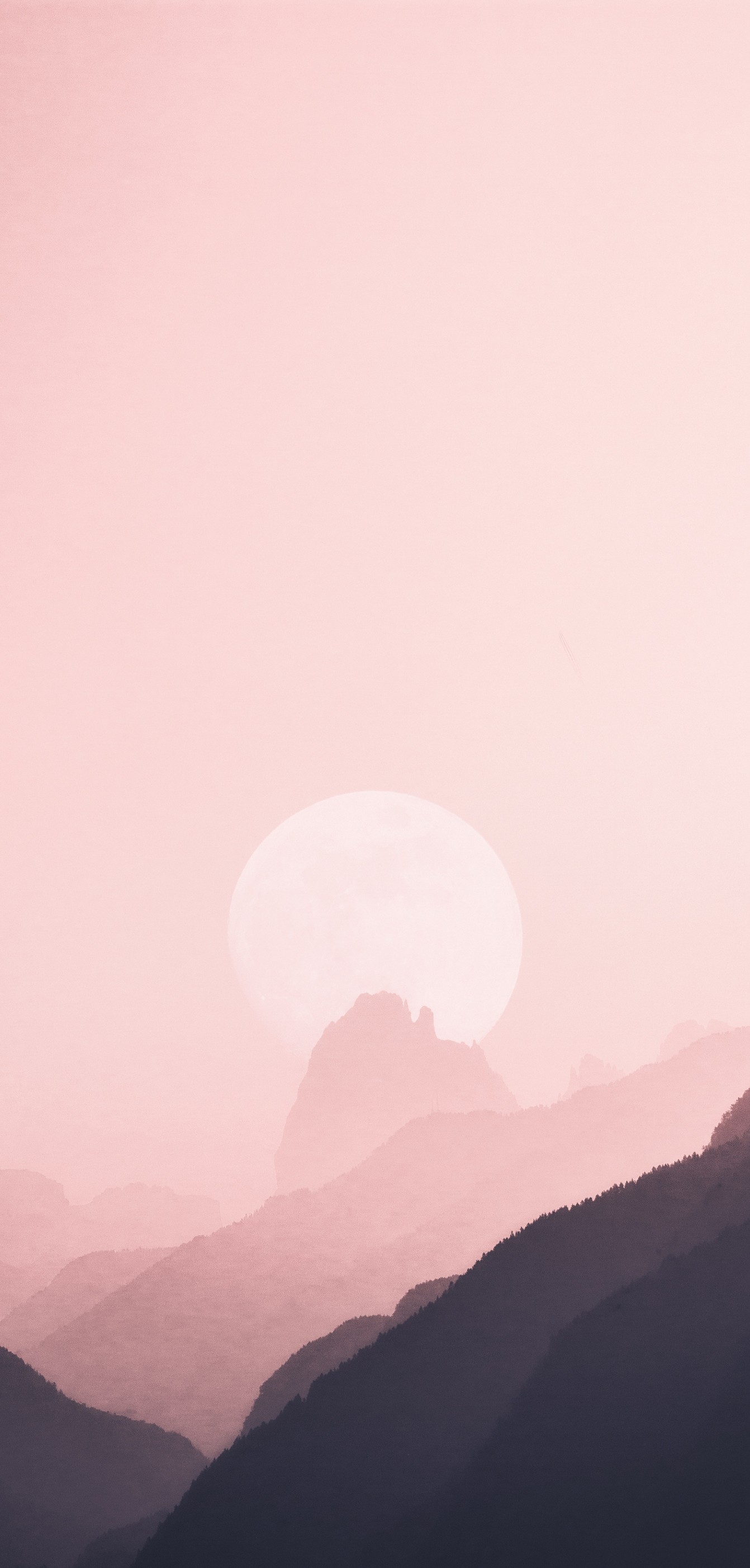 壁纸