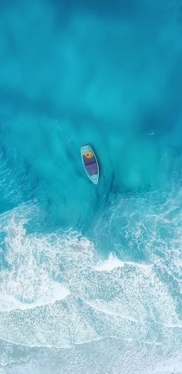 大海