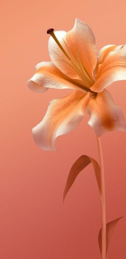 vivo S6手机官方壁纸（8）