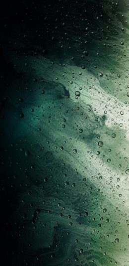 雨