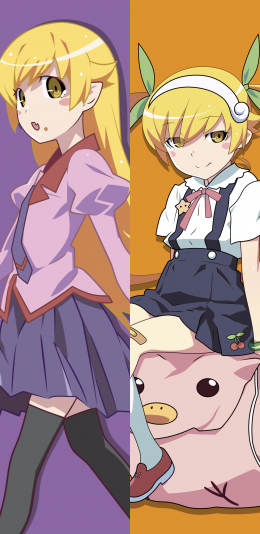[2960x1440 2K壁纸]Monogatari