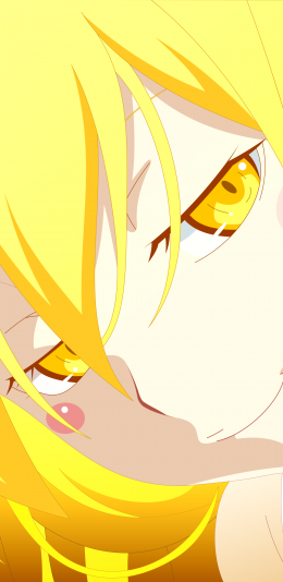 Monogatari 动漫壁纸