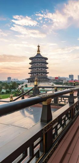 风景