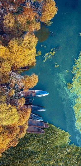 风景