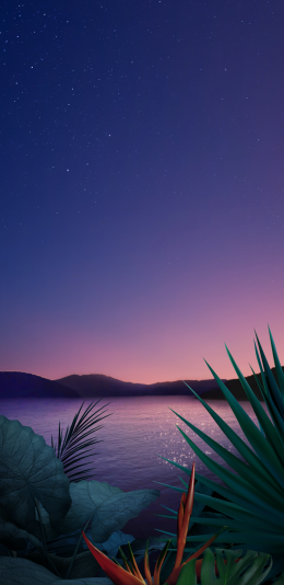 夜空