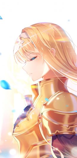 刀剑神域 爱丽丝