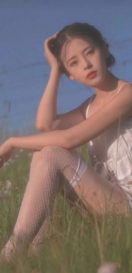 网袜