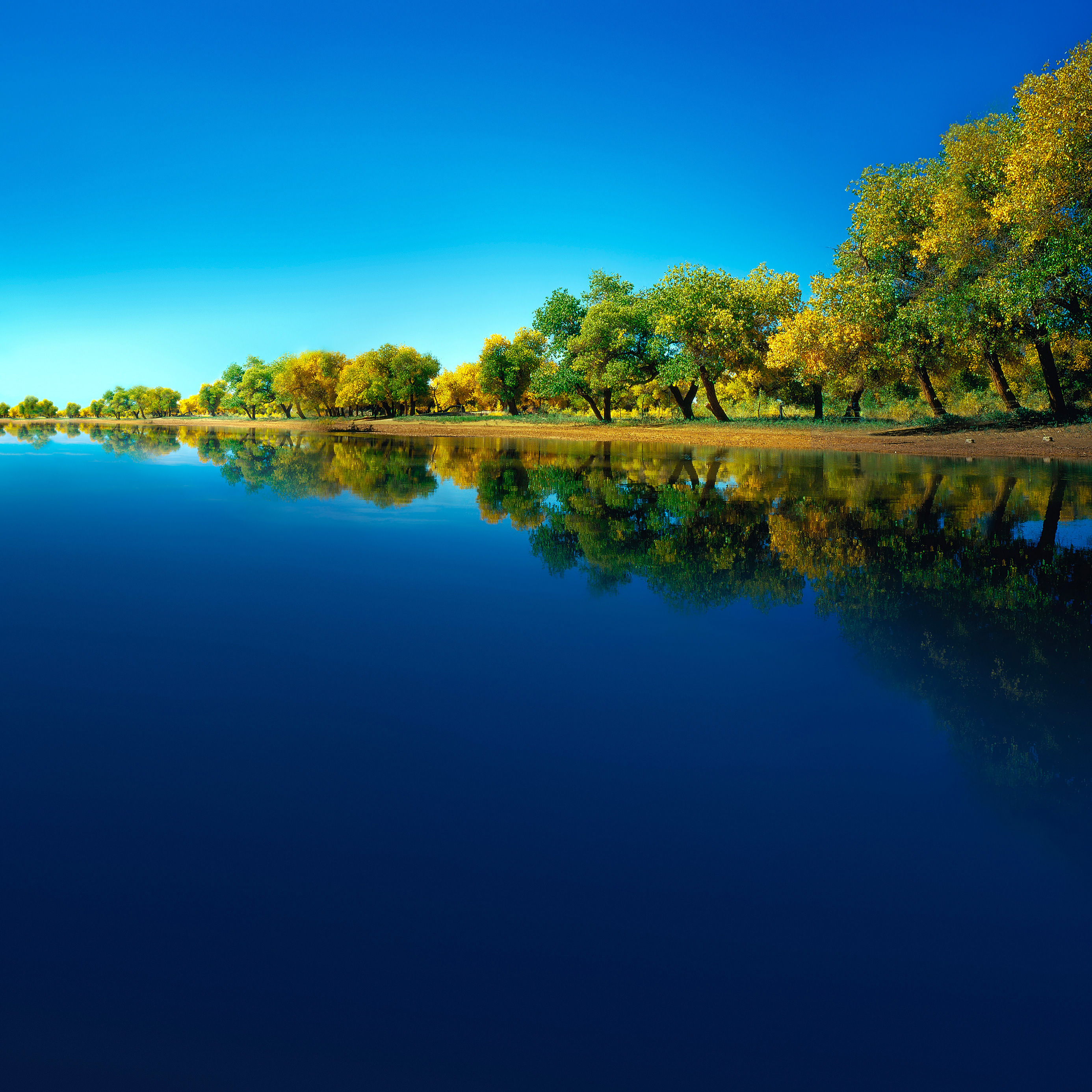 [10MB]华为Huawei Mate 40 Pro手机默认壁纸（4）