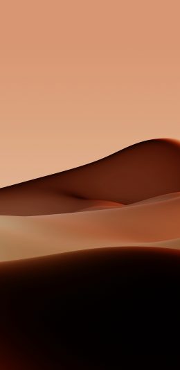 Vivo Y20系统壁纸|金色的沙漠
