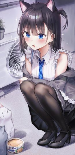 壁纸