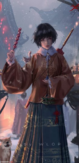 冰糖葫芦