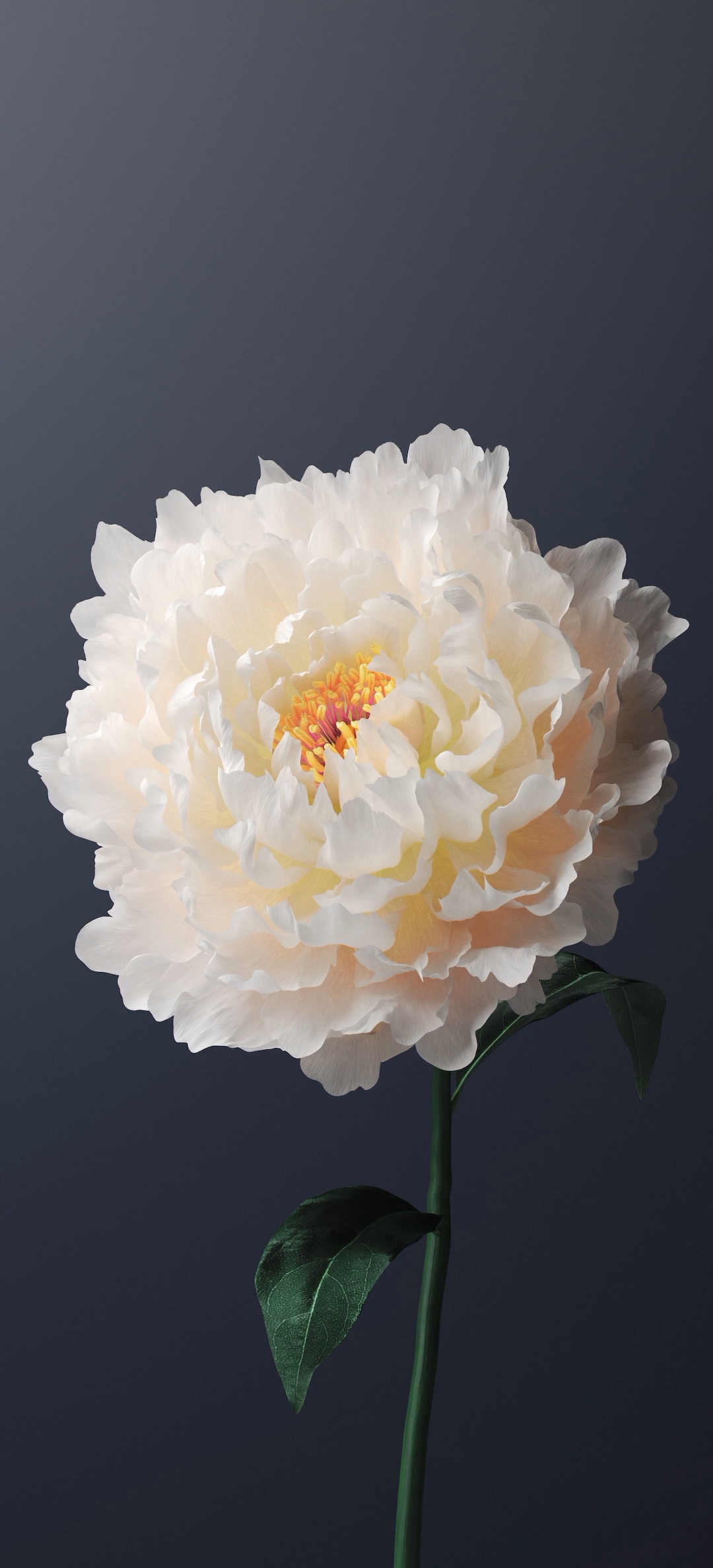 vivo X60手机自带壁纸（8）