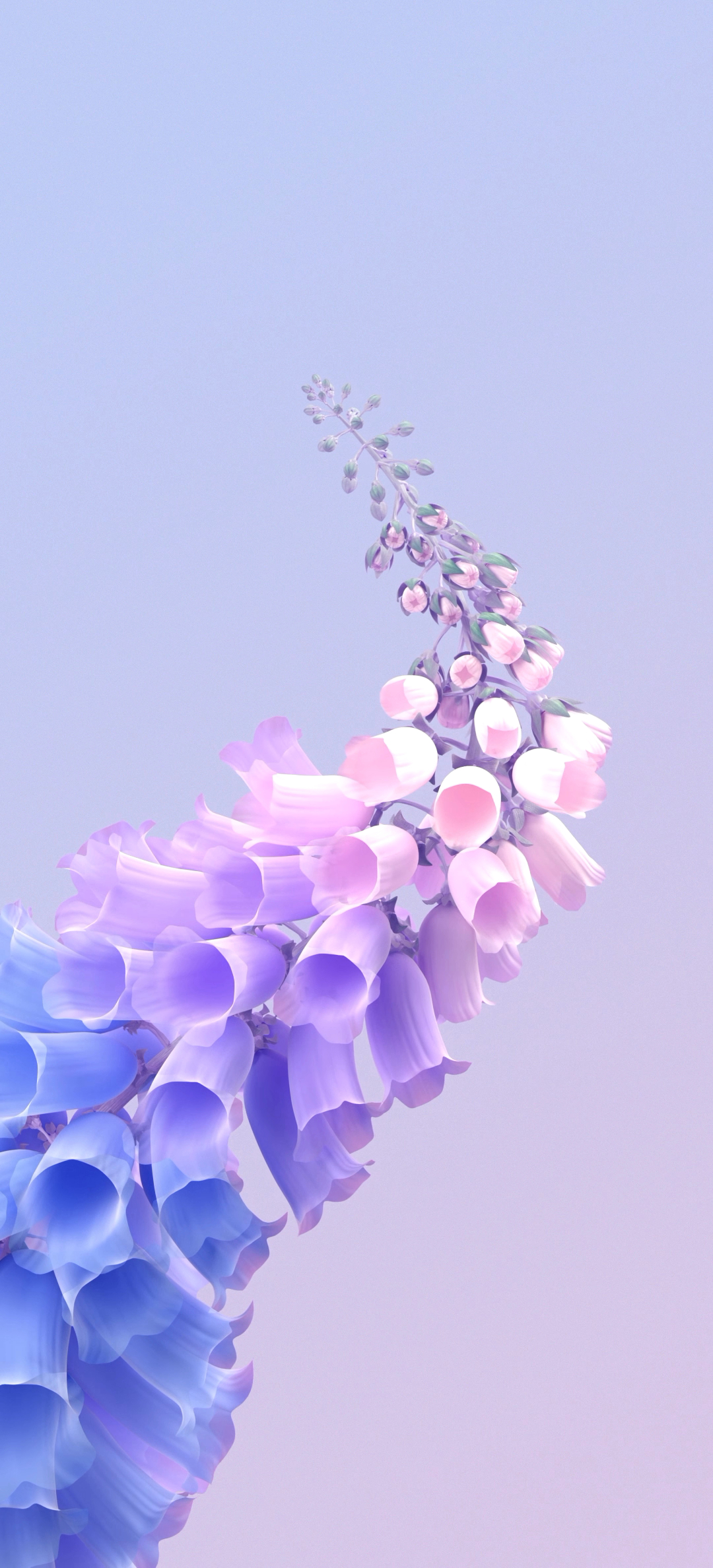 vivo X60手机自带壁纸（7）