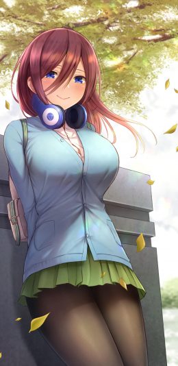 五等分的花嫁