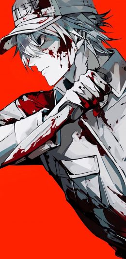 工作细胞－白血球