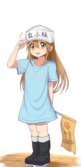 工作细胞－血小板