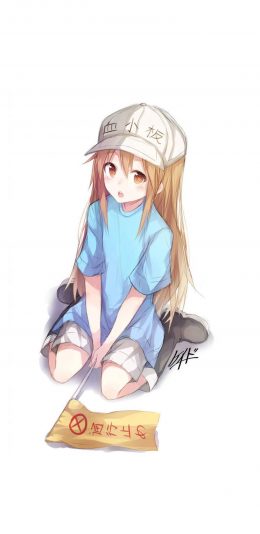 工作细胞－血小板