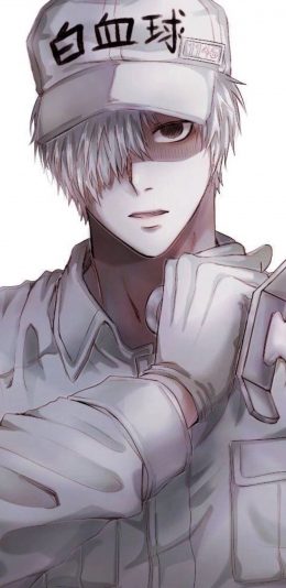 工作细胞－白血球